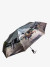 Зонт женский с/а 230 всадница